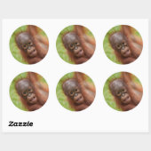 Baby Orangutan Joy Ronde Sticker (Vel)