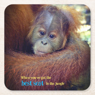 Baby Orangutan Kartonnen Onderzetters