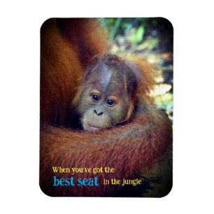 Baby Orangutan Magneet