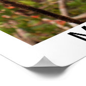 Baby Orangutan Mason Poster (Hoek)