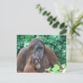 Baby Orangutan met Briefkaart (Staand voorkant)