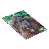 Baby Orangutan met moederlaptop Notitieboek (Rechterzijde)