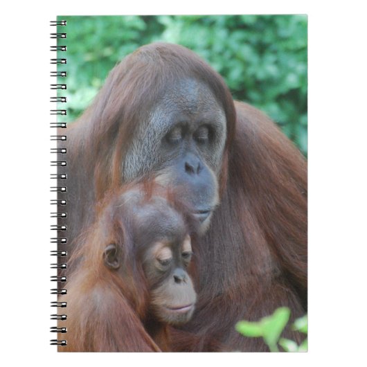 Baby Orangutan met moederlaptop Notitieboek (Voorkant)