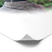  Baby Orangutan poster (Hoek)