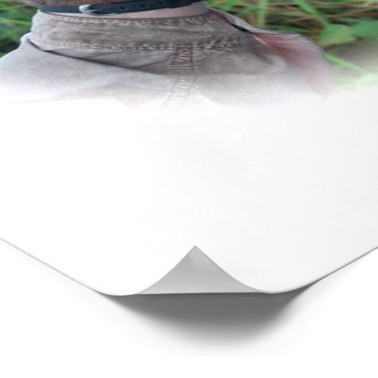  Baby Orangutan poster (Hoek)