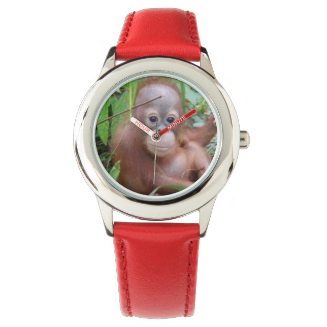 Baby Orangutan Steppenwolf Horloge (Voorkant)