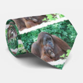 Baby Orangutan Stropdas (Opgerold)