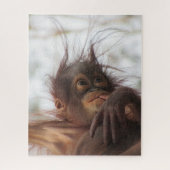 Baby Orangutan Sucking Thumb Puzzle Legpuzzel (Verticaal)