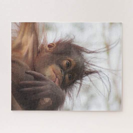 Baby Orangutan Sucking Thumb Puzzle Legpuzzel (Horizontaal)