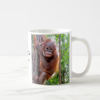 Baby Orangutan Uttuh Koffiemok