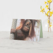 Baby Orangutan Wenskaart Kaart (Gele Bloem)