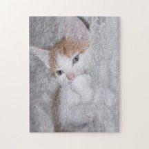 Baby oranje en witte tafel kitten