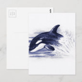 Baby Orca Jump Briefkaart (Voorkant / Achterkant)