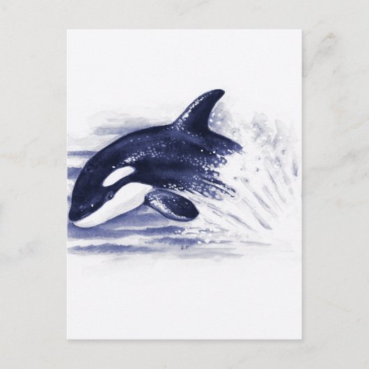 Baby Orca Jump Briefkaart (Voorkant)