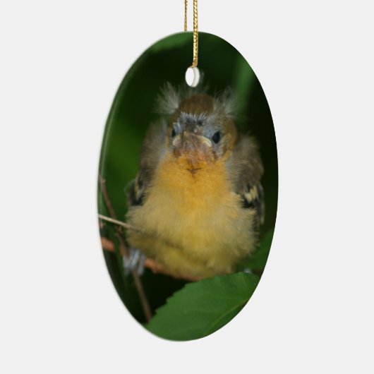 Baby Oriole Bird Ornament (Rechts)