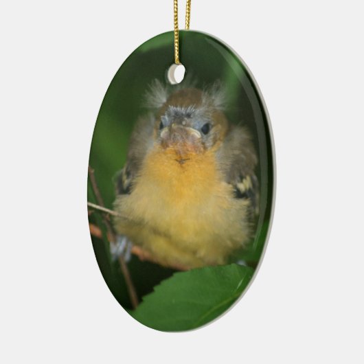 Baby Oriole Bird Ornament (Links)