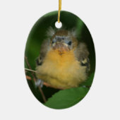 Baby Oriole Bird Ornament (Voorkant)