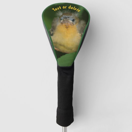 Baby Oriole Fledgling Bird Speciaal Golfheadcover (Voorkant)