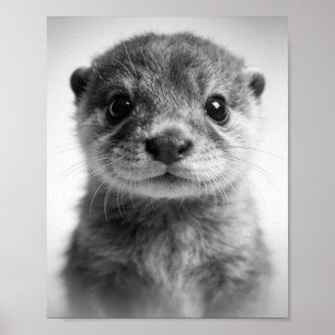 Baby Otter Portret Zoete Kinderkamer Muur Kunst Poster