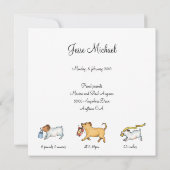 Baby over Pony - Aankondiging geboorte (Achterkant)