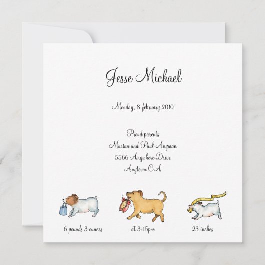 Baby over Pony - Aankondiging geboorte (Achterkant)