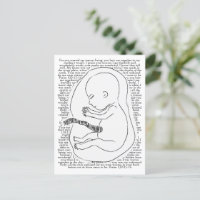 Baby overzicht met Psalm 139:13-16