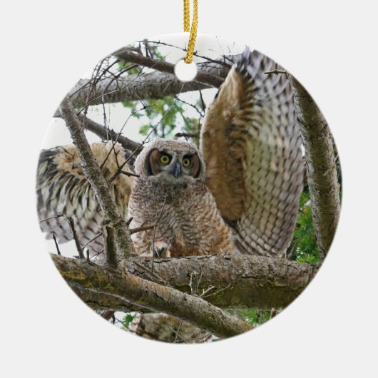 Baby Owl Afbeelding Keramisch Ornament (Voorkant)