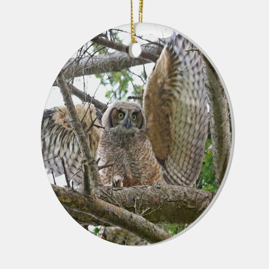 Baby Owl Afbeelding Keramisch Ornament (Links)