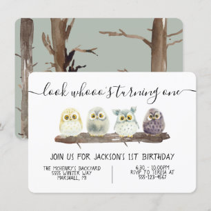 Baby Owl Birthday Party Kaart