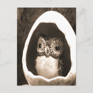 Baby Owl Briefkaart