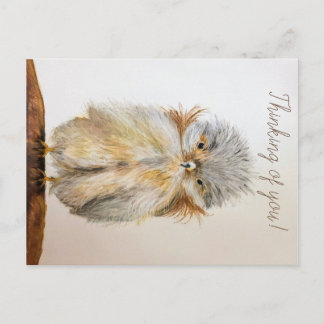 Baby Owl Briefkaart met Bijbelversie