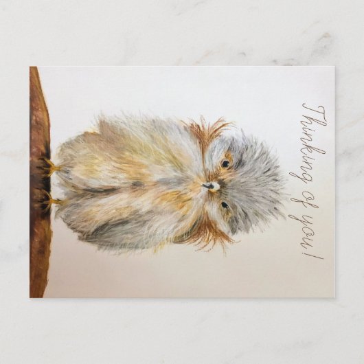 Baby Owl Briefkaart met Bijbelversie (Voorkant)