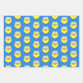 Baby Owl Cartoon Inpakpapier Vel (Voorkant)
