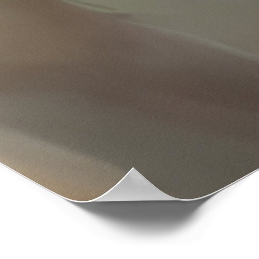 Baby Owl Poster (Hoek)