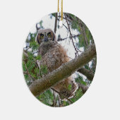 Baby Owl Staring Keramisch Ornament (Rechts)