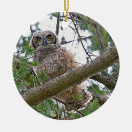 Baby Owl Staring Keramisch Ornament