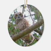 Baby Owl Staring Keramisch Ornament (Links)