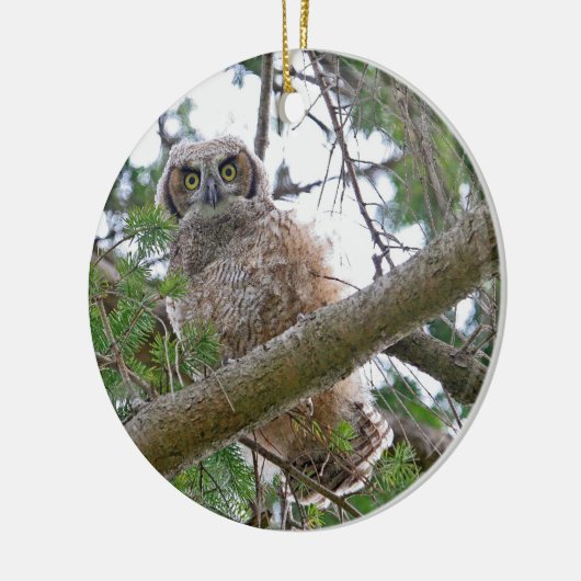 Baby Owl Staring Keramisch Ornament (Links)