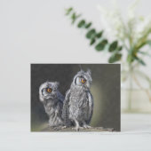 Baby Owls Briefkaart (Staand voorkant)