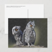 Baby Owls Briefkaart (Voorkant / Achterkant)