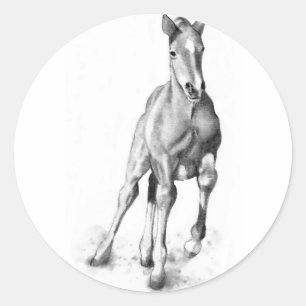 Baby Paard, Colt Running: Potlood Art Ronde Sticker