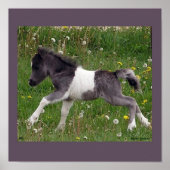 Baby Paarden Poster #2 (Voorkant)