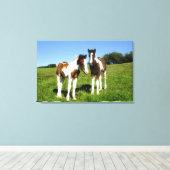Baby Paarden Twee Colts Schattige Fowls Canvas Afdruk (Insitu (Houten vloer))