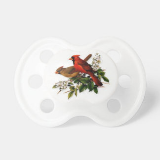 Baby pacifier met prachtige kardinaalvogels. speen