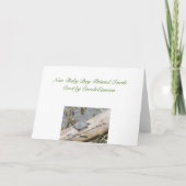 Baby Painted Turtle Nieuwe Baby Boy Kaart (Achterkant)