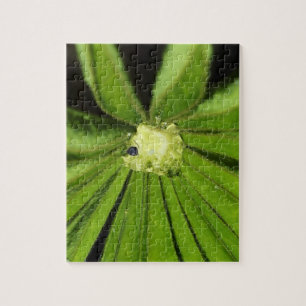 Baby Palm Plant van Shirley Taylor Legpuzzel