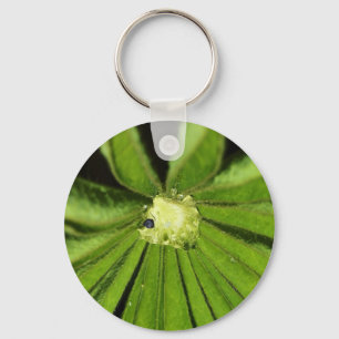 Baby Palm Plant van Shirley Taylor Sleutelhanger