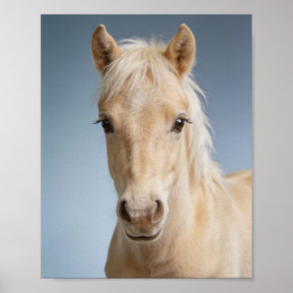 Baby Palomino Paardenportret – Mooie Dieren voor d Poster