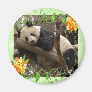 baby-panda-00018-85x85 magneet