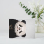 Baby Panda Beer Colorful| Cute Panda Design Aankondigingskaart (Staand voorkant)